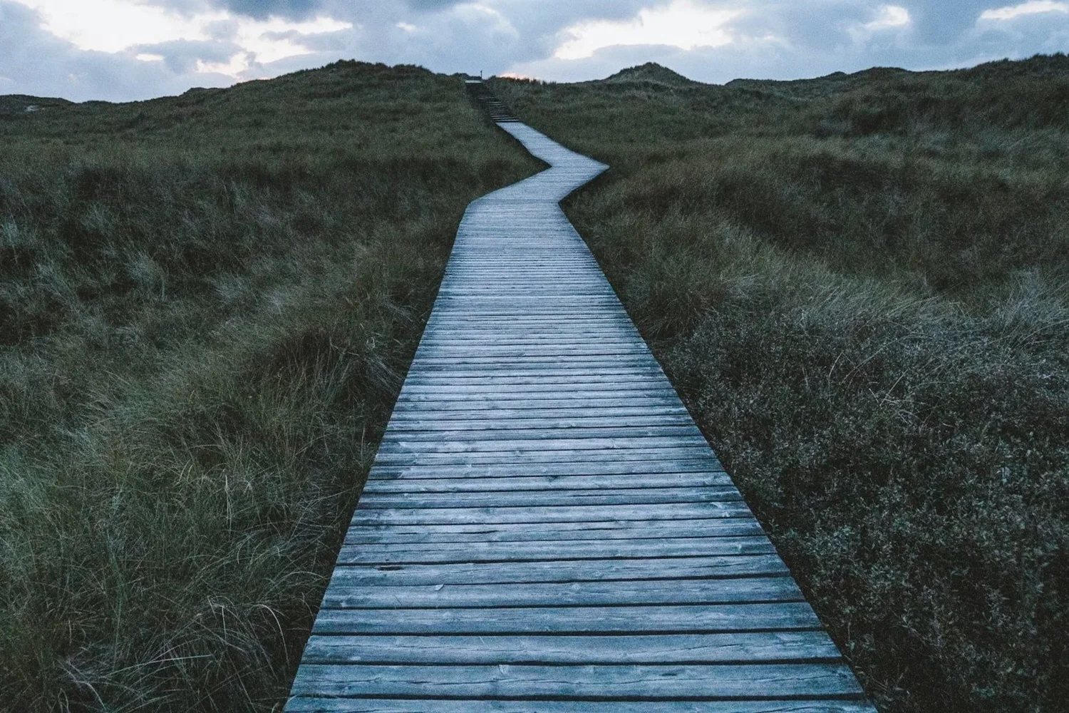 A winding wooden pathway through grassy dunes